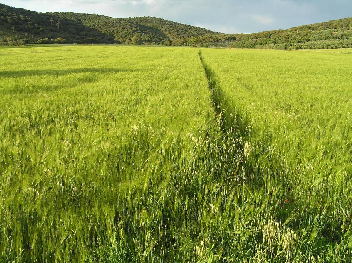 Agriturismo Grazia Орбетелло Екстер'єр фото